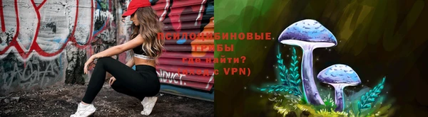 СК Ладушкин
