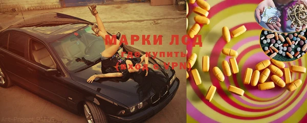 индика Кулебаки